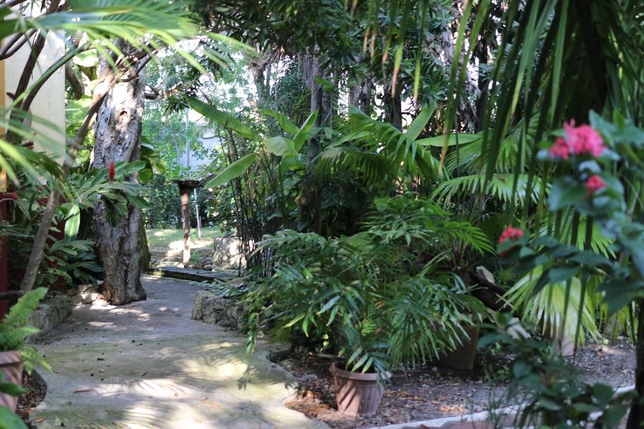Casa Kin33 Bed & Breakfast Cancun Dış mekan fotoğraf