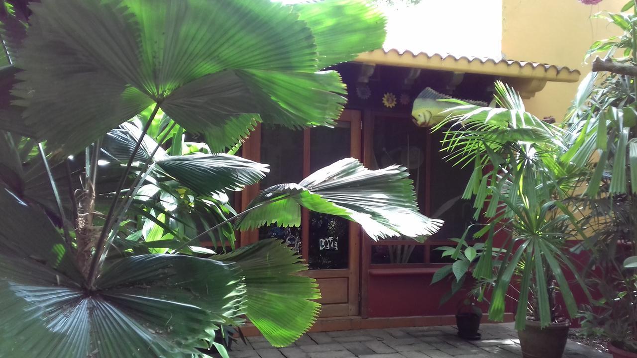 Casa Kin33 Bed & Breakfast Cancun Dış mekan fotoğraf