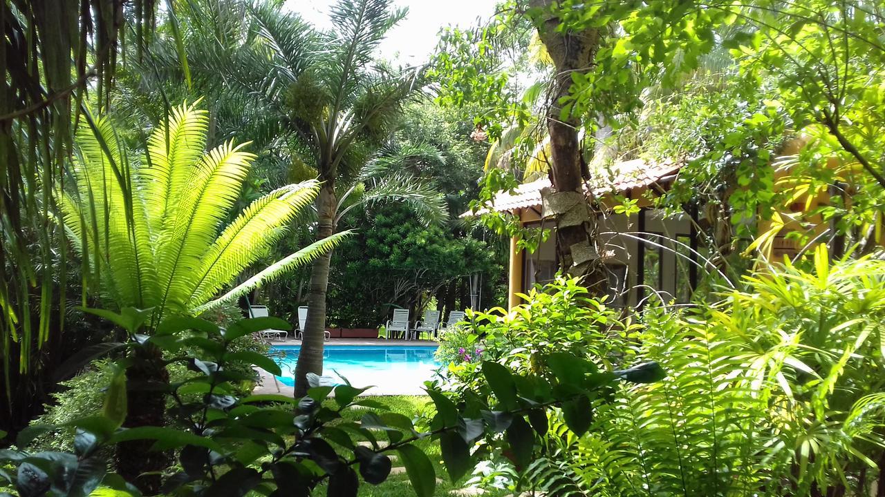 Casa Kin33 Bed & Breakfast Cancun Dış mekan fotoğraf