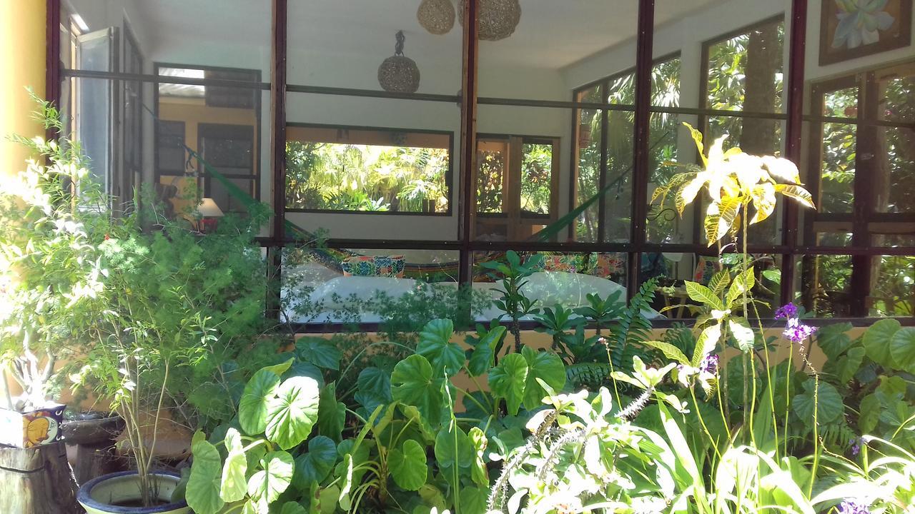 Casa Kin33 Bed & Breakfast Cancun Dış mekan fotoğraf