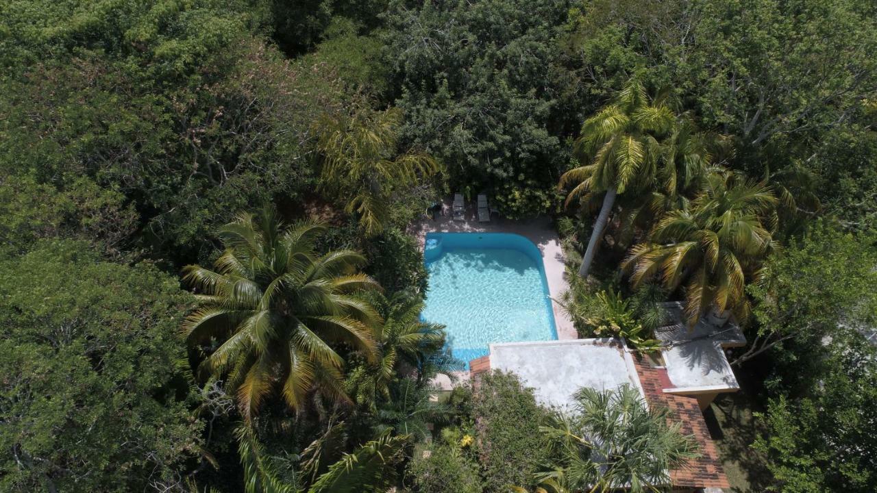 Casa Kin33 Bed & Breakfast Cancun Dış mekan fotoğraf
