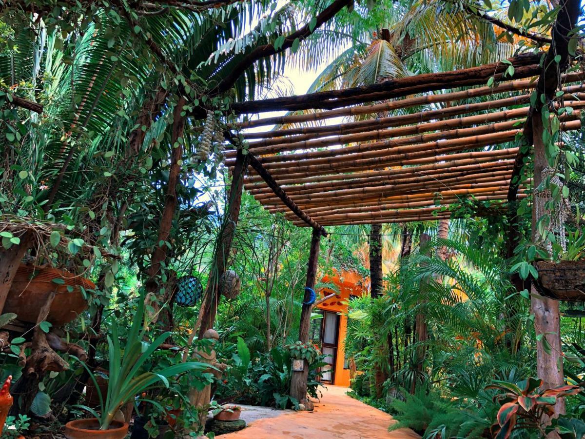 Casa Kin33 Bed & Breakfast Cancun Dış mekan fotoğraf